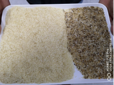 Rice Sorting 