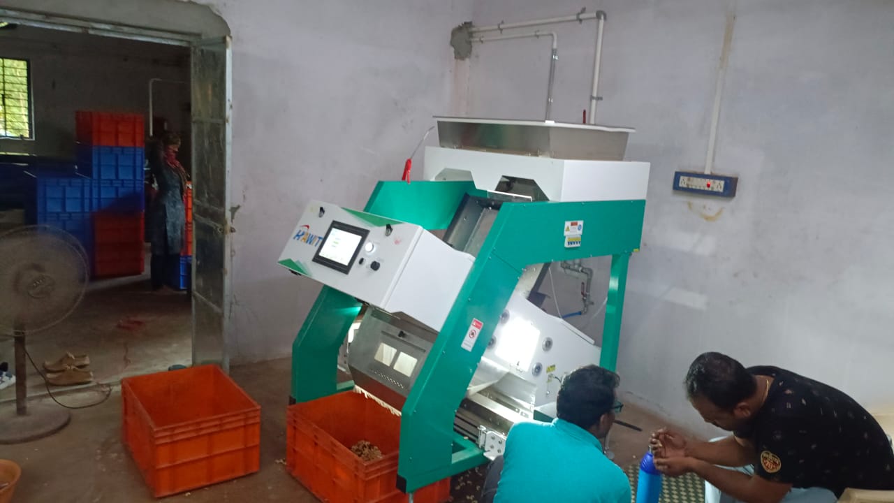 Hawit Cashew nut Color and Shape Sorter Installation