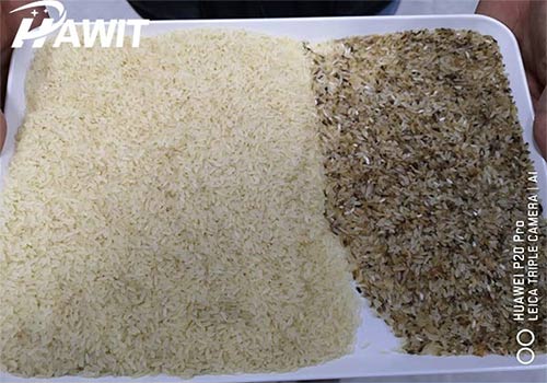 Rice Sorting