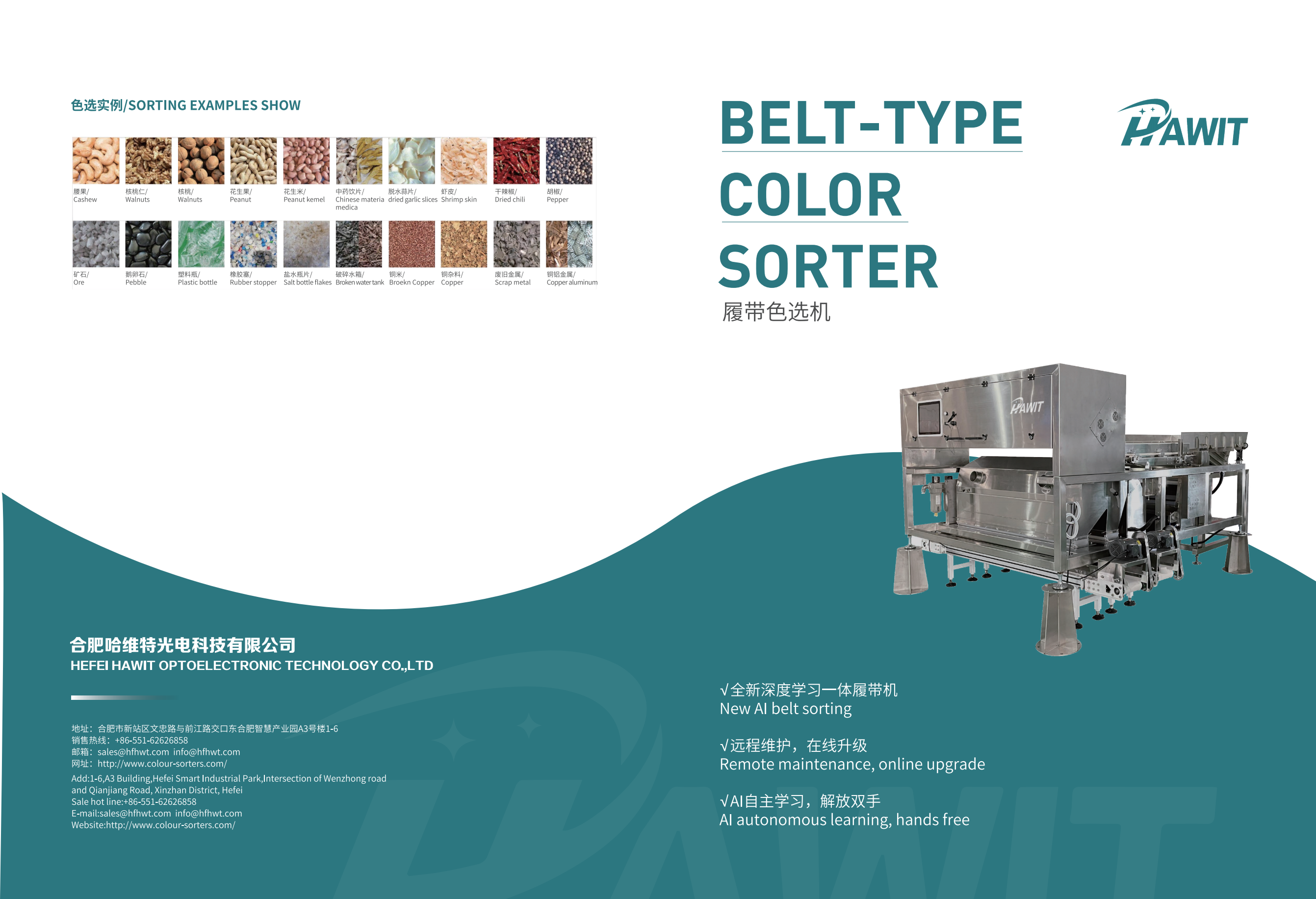 BELT-TYPE   COLOR  SORTER  PERFORMENCE