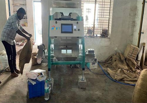 Cashew Color Sorter Machines Succsesslly Installed