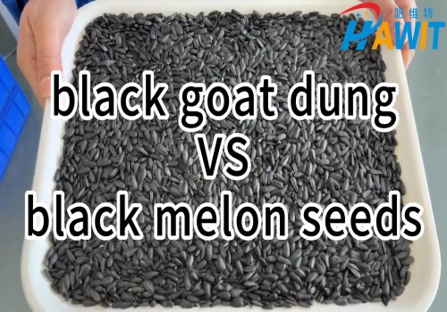 AI Deep Learning Color Sorter: Same Color Sorting --- black goat dung VS black menlon seeds