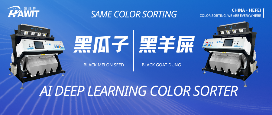 HAWIT AI Deep Learning Color Sorter---Solving the Same-Color Sorting Challenge for Black Melon Seeds