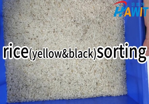 Rice Color Sorter: rice(yellow and black) sorting