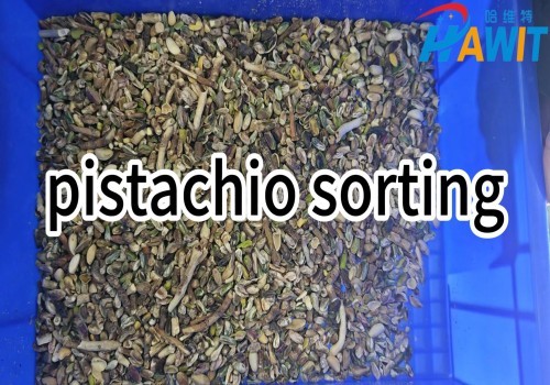 HAWIT Belt Color Sorter: pistachio sorting.