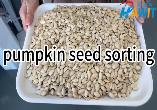 AI Deep Learning Color Sorter: pumpkin seed sorting.