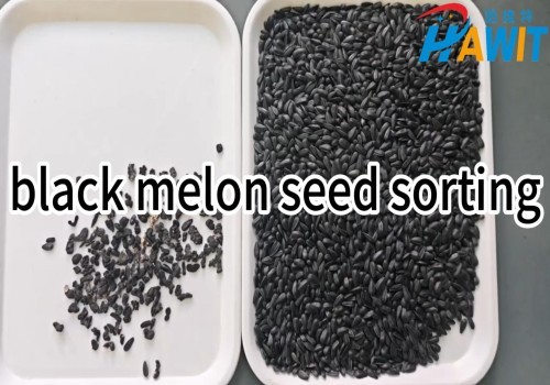 AI Deep Learning Color Sorter---black melon seed