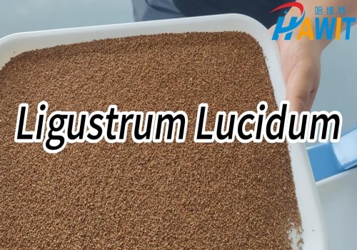 AI Deep Learning Color Sorter: AI Herb Sorting---Ligustrum Lucidum