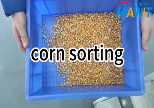 Infrared Color Sorter: making corn selection more efficient.