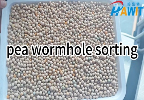 AI Deep Learning Color Sorter: Intelligent color sorting, ensuring every peas meet the standard!