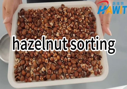 Infrared Color Sorter: Ensure every hazelnut is accurately sorted