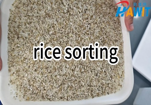 Rice Color Sorter --- rice sorting