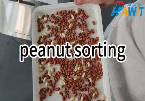 Mini Color Sorter: Peanut sorting expert, precise and efficient