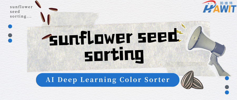 Sunflower Seed Sorting Challenge: How to Solve the Problem of Wormholes and White Spots? The AI Color Sorter Provides the Answer