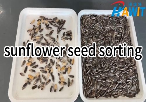 AI Deep Learning Color Sorter: sunflower seed sorting