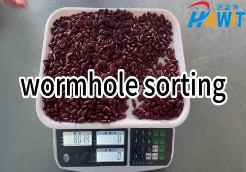 AI high-definition Color Sorter: red kidney bean sorting --- wormhole sorting