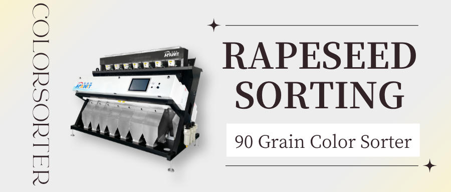 90-Channel Grain Color Sorter --- Rapeseed Sorting: High Throughput, High Precision, Catching Off-Color Grains and Impurities in One Go