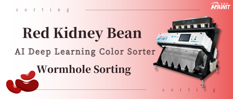 Red Kidney Bean Sorting – Not a Single Wormhole Bean Left – AI Deep Learning Color Sorter Strikes with Precision