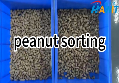 21-chute / 63-chute / 90-chute color sorter: peanut sorting