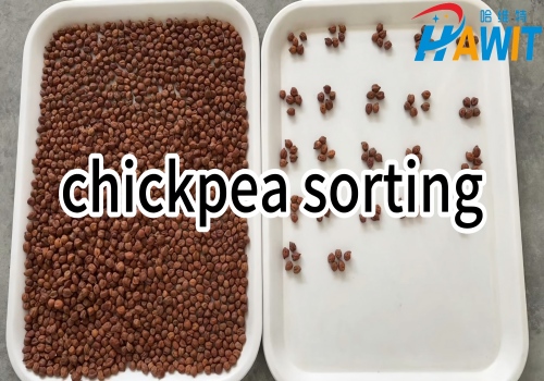 AI HD Multi-View Color Sorter: chickpea sorting --- wormhole sorting