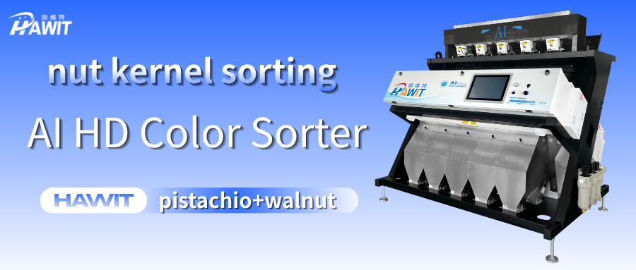 Can't See Tiny Nut Shell Fragments Clearly? The AI HD Color Sorter Identifies Them at a Glance