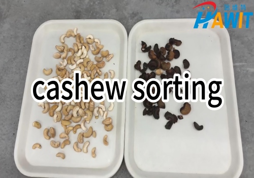 AI HD Multi-View Color Sorter: cashew sorting
