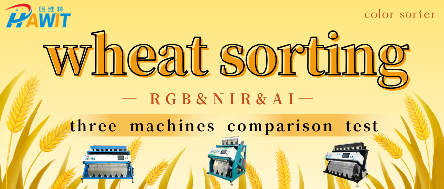 Wheat Sorting Comparison Test | RGB vs. NIR vs. AI – Performance Review