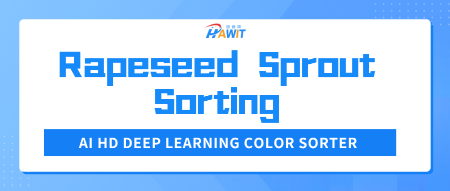 Tiny Particle Sorting Challenge | AI HD Color Sorter Conquers Rapeseed Sprout Sorting