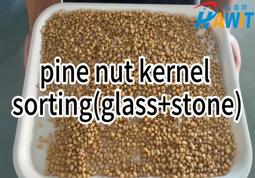 AI HD Deep Learning Color Sorter: pine nut kernel sorting (glass+stone)